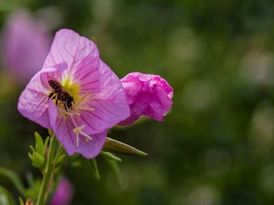 《y荡学院》by金银花