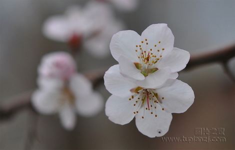 全部免费的斗地主